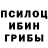 Галлюциногенные грибы GOLDEN TEACHER Atrian_Op