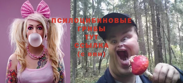 крисы Заводоуковск