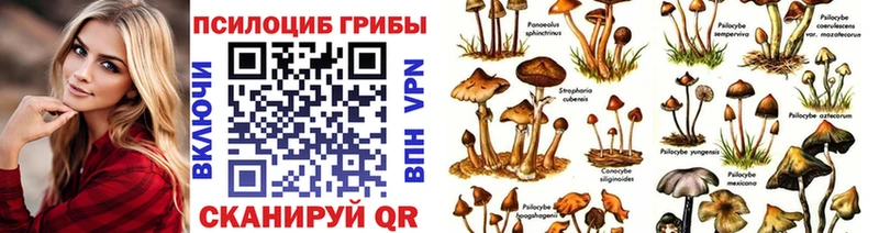 Псилоцибиновые грибы ЛСД  Купить где  Игра 